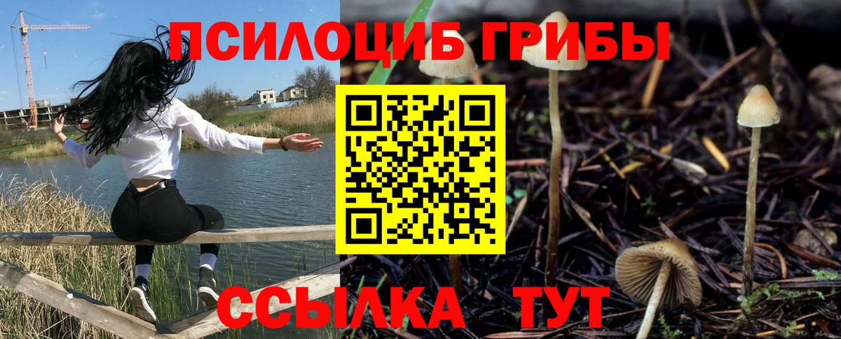 Санкт-Петербург  Галлюциногенные грибы Psilocybine cubensis  что такое наркотик  Вход с VPN 